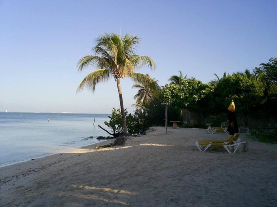 Marysol Private Beach Next To Nomads D5 이슬라무헤레스 외부 사진