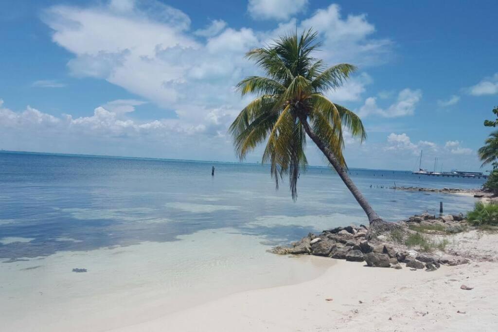 Marysol Private Beach Next To Nomads D5 이슬라무헤레스 외부 사진